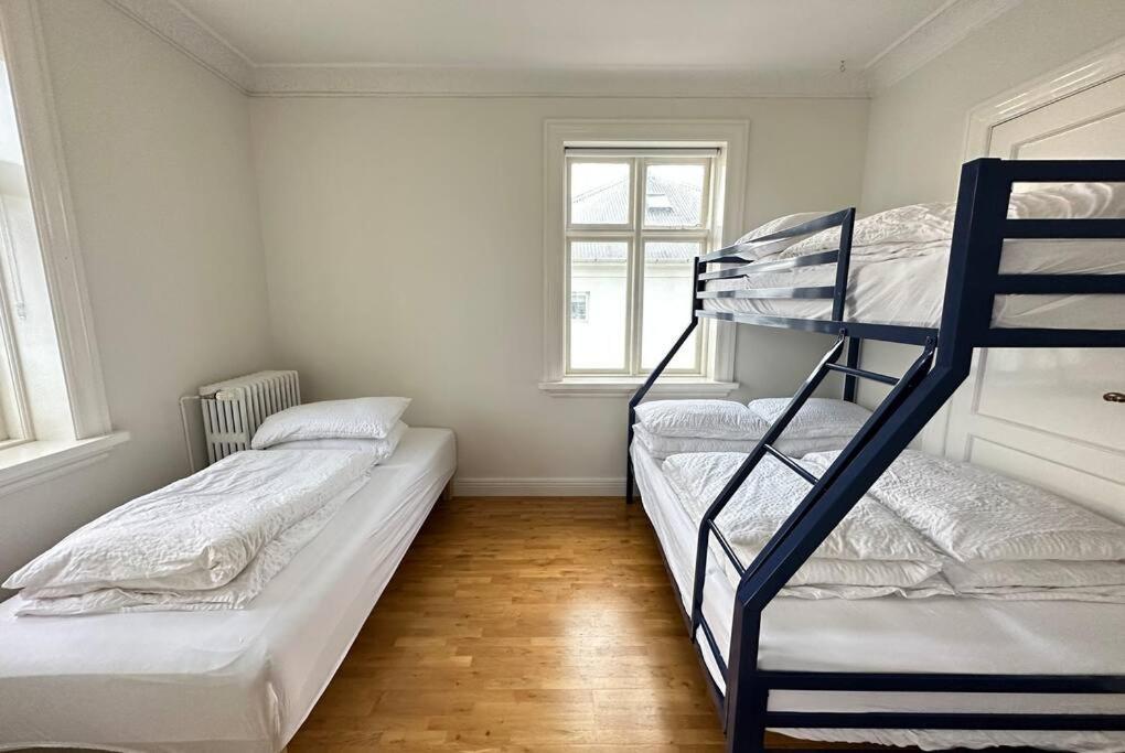 Beautiful 2 Bedroom Apartment Downtown レイキャヴィーク エクステリア 写真